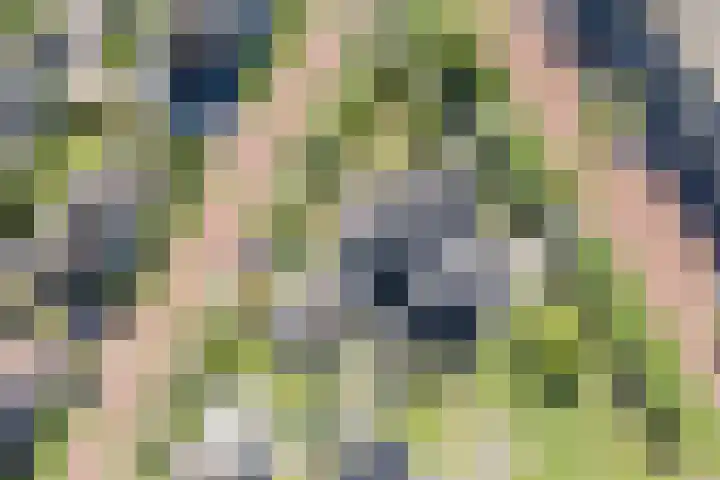 Eschersingel 79 Utrecht thumbnail 66