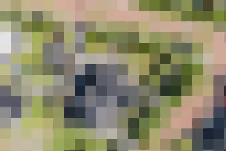 Eschersingel 79 Utrecht thumbnail 67