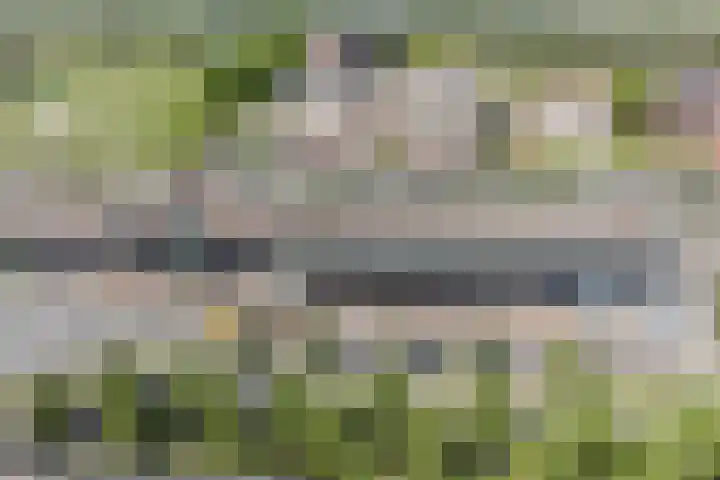 Eschersingel 79 Utrecht thumbnail 68