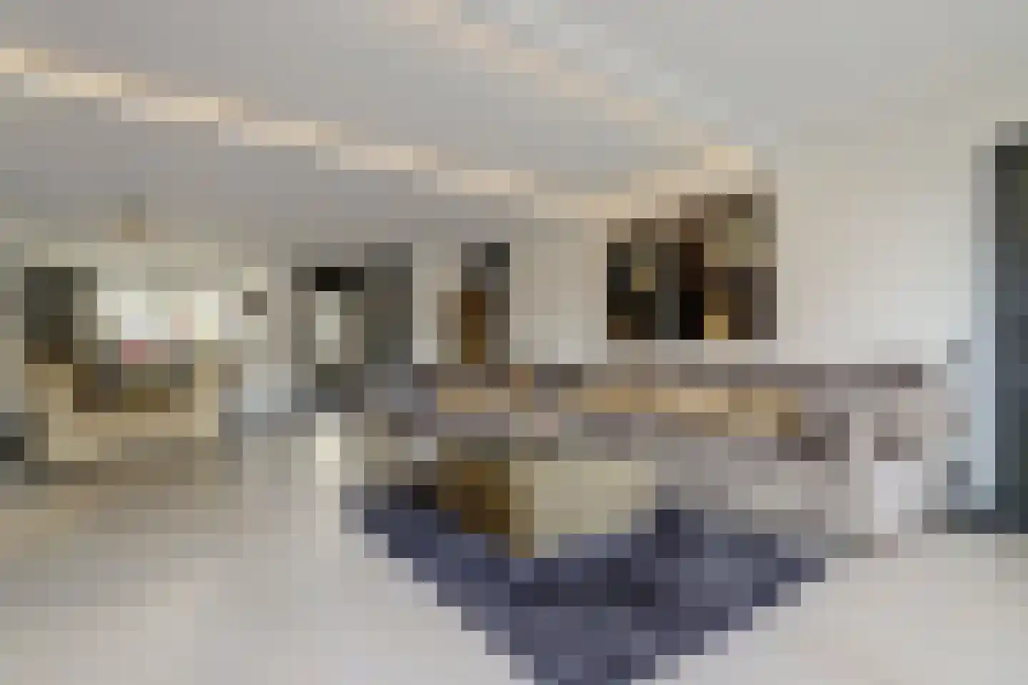 Escherstraat 2 Zwijndrecht thumbnail 13