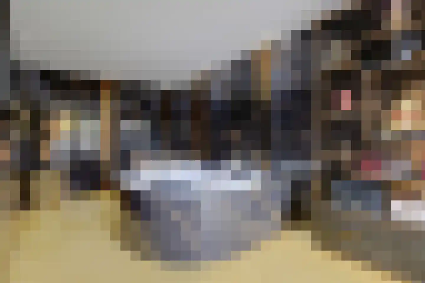 Escherstraat 2 Zwijndrecht thumbnail 14