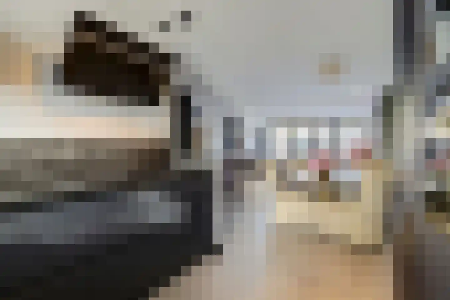Escherstraat 2 Zwijndrecht thumbnail 32