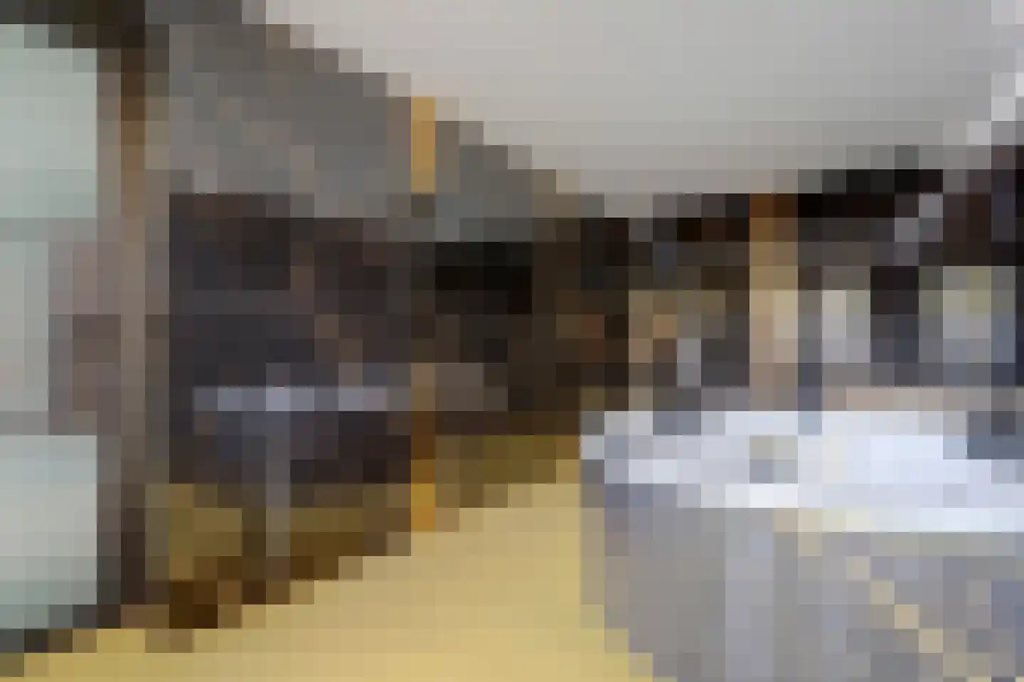 Escherstraat 2 Zwijndrecht thumbnail 36