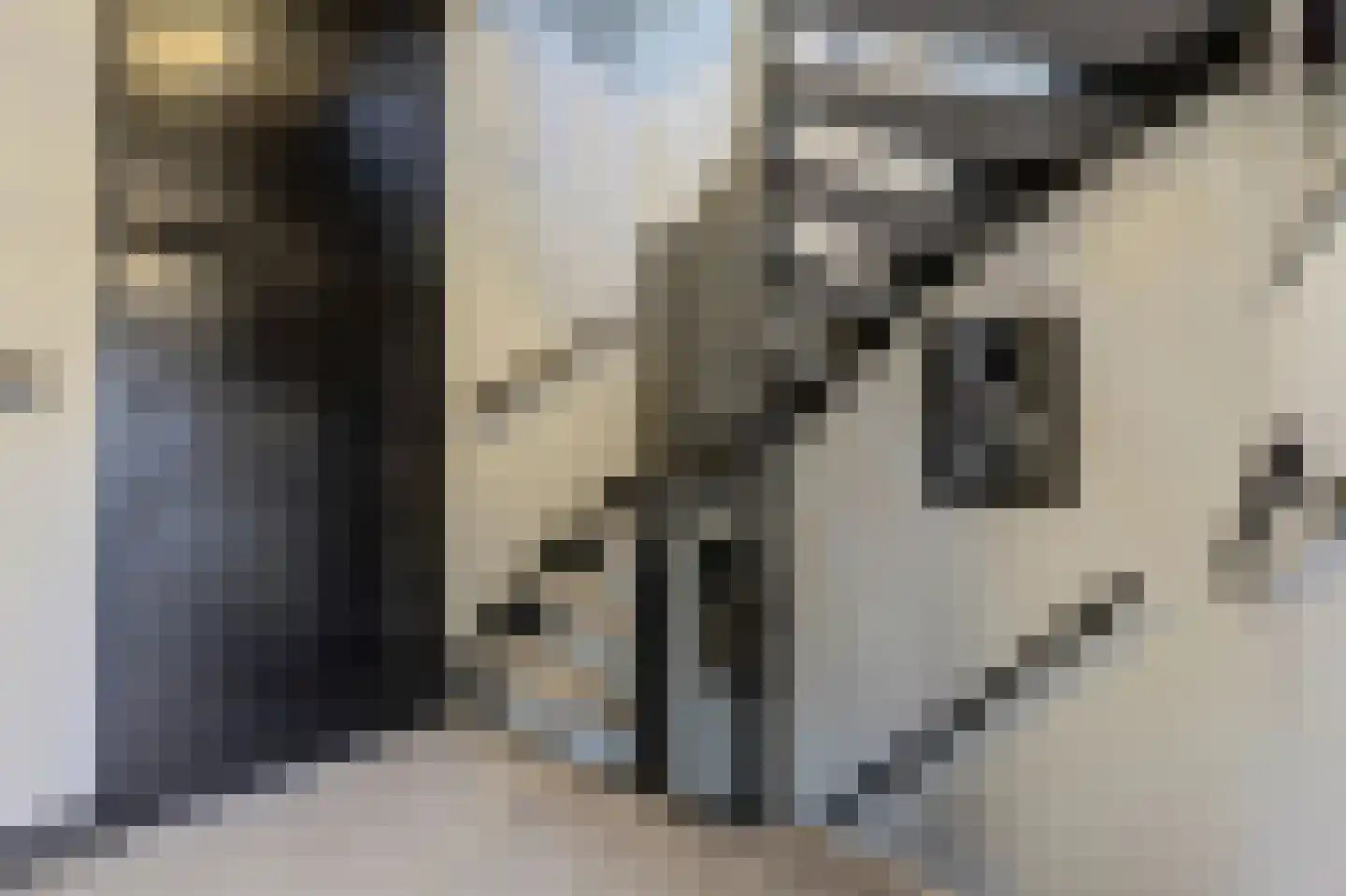 Escherstraat 2 Zwijndrecht thumbnail 37