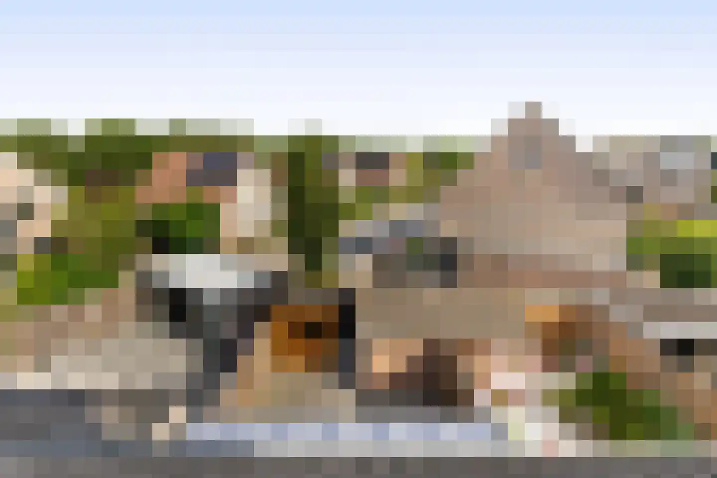 Escherstraat 4 Zwijndrecht thumbnail 39