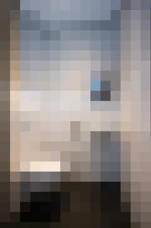 Eschertoren 13 B Leiden thumbnail 5