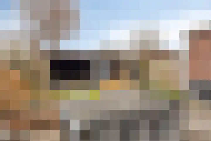 Eschrand 34 Vragender thumbnail 4