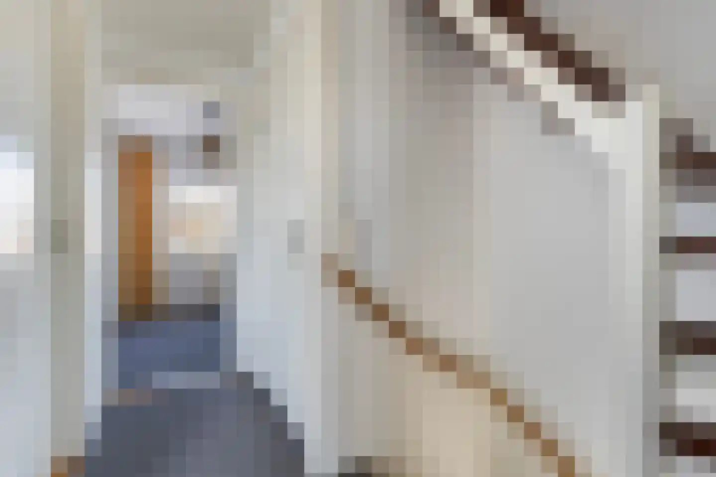 Eschstraat 11 Dalfsen thumbnail 13