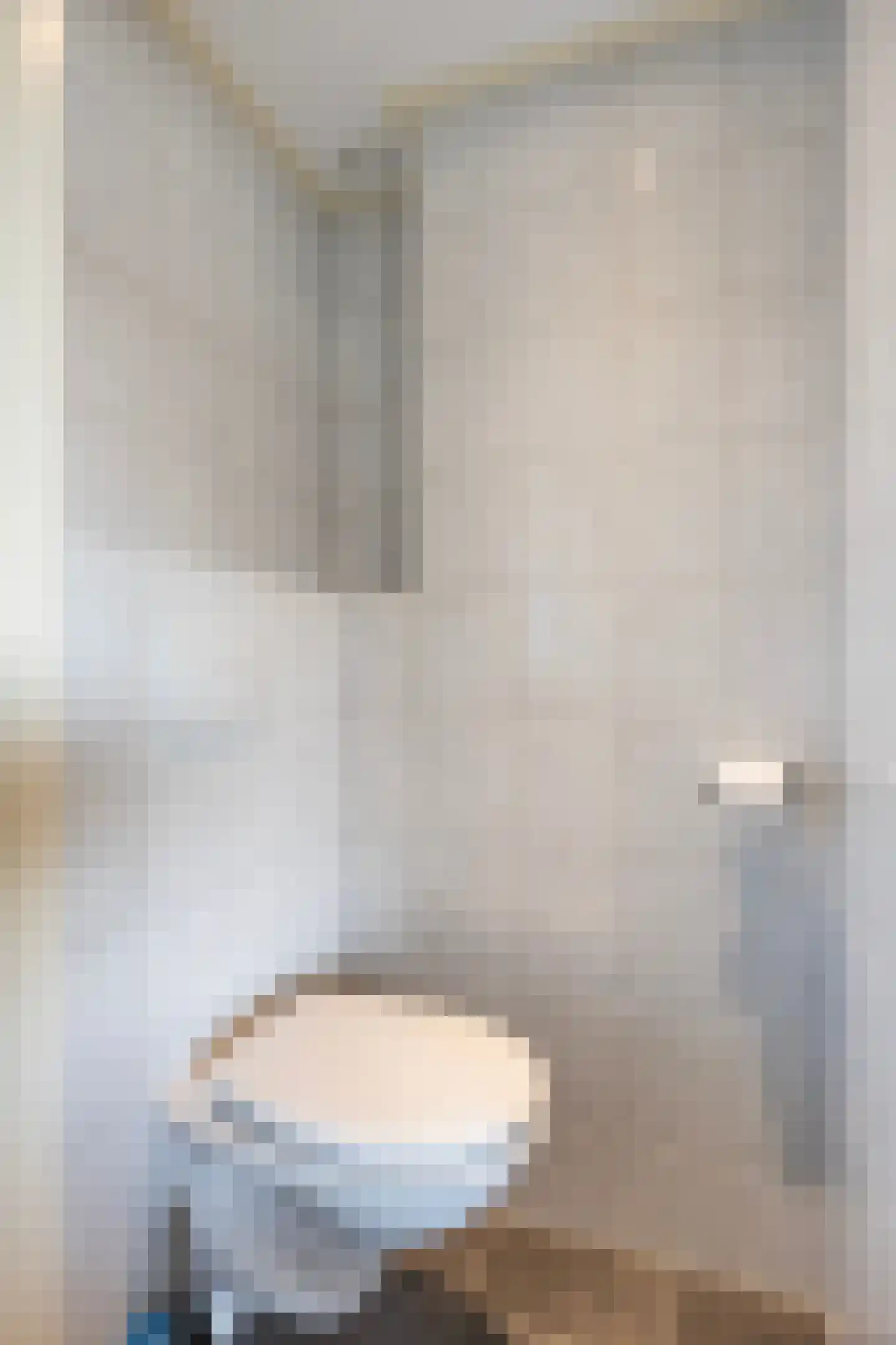 Eschstraat 11 Dalfsen thumbnail 14