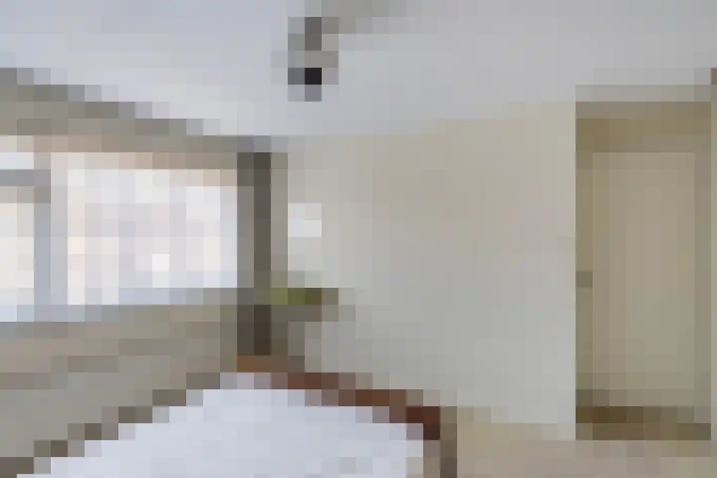 Eschstraat 11 Dalfsen thumbnail 18