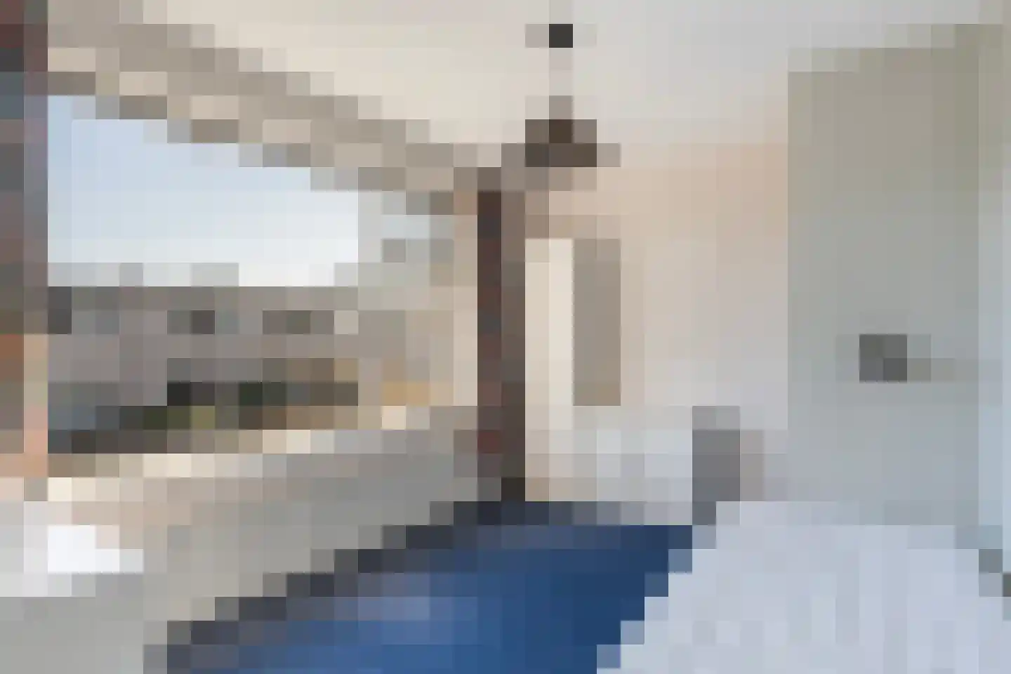 Eschstraat 11 Dalfsen thumbnail 19