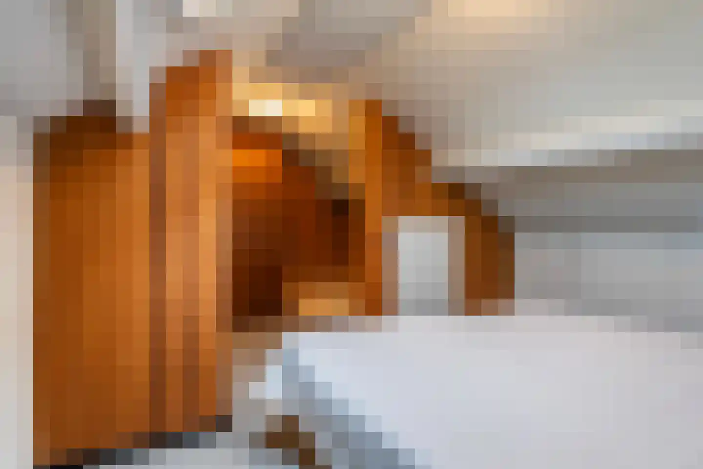Eschstraat 11 Dalfsen thumbnail 23