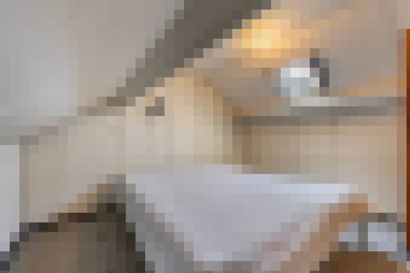 Eschstraat 11 Dalfsen thumbnail 24