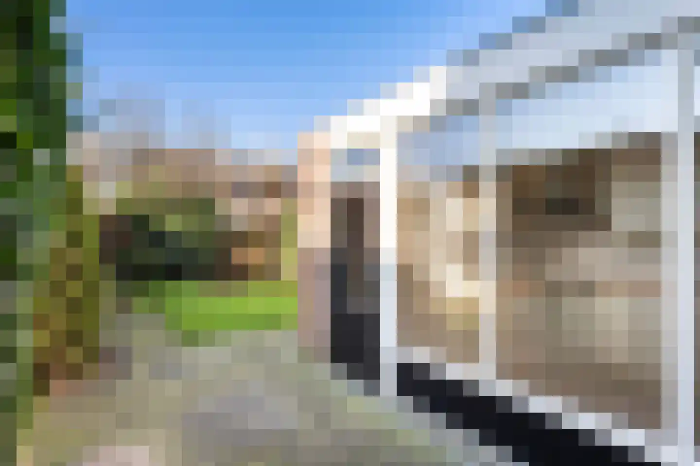 Eschstraat 11 Dalfsen thumbnail 26