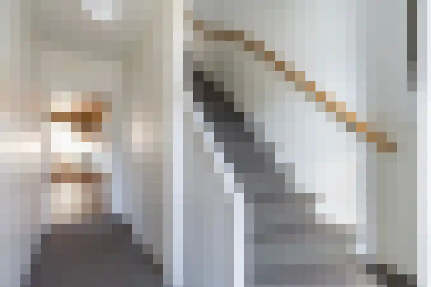 Eschstraat 11 Dalfsen thumbnail 6
