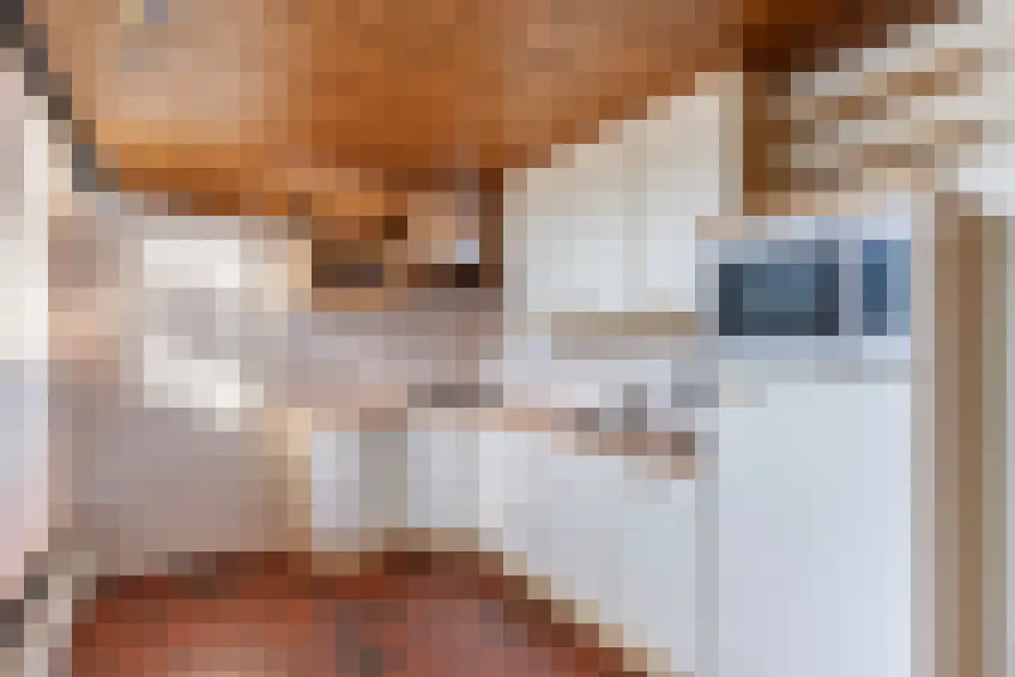 Eschstraat 11 Dalfsen thumbnail 7