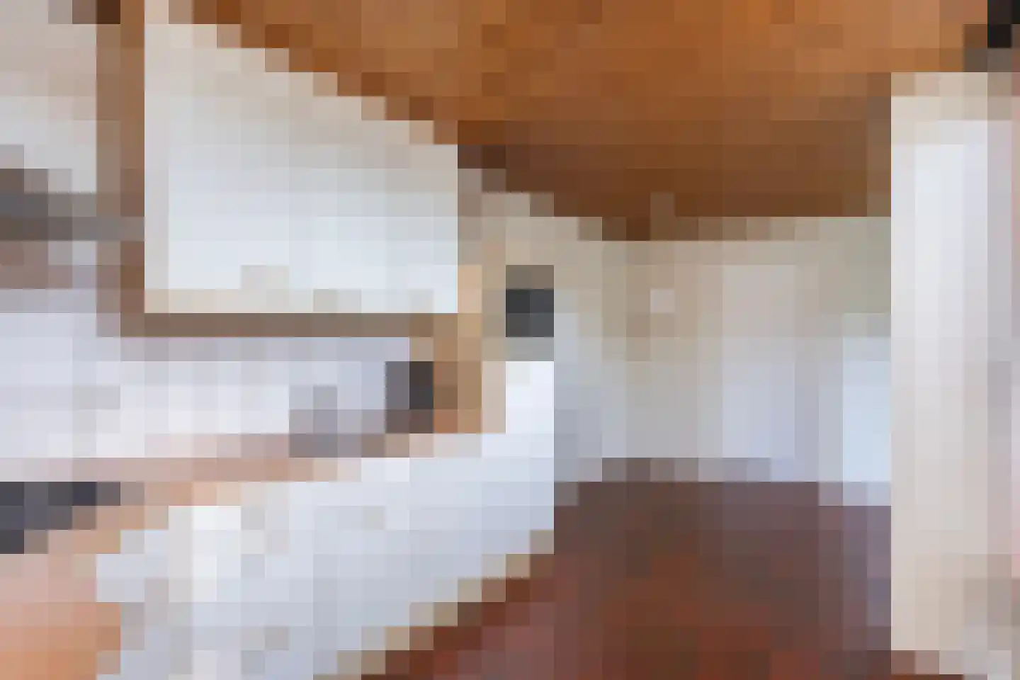 Eschstraat 11 Dalfsen thumbnail 8