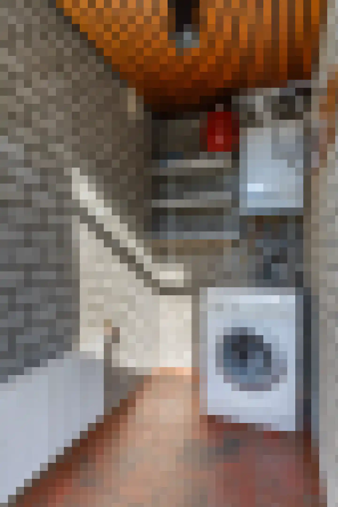 Eschstraat 11 Dalfsen thumbnail 9
