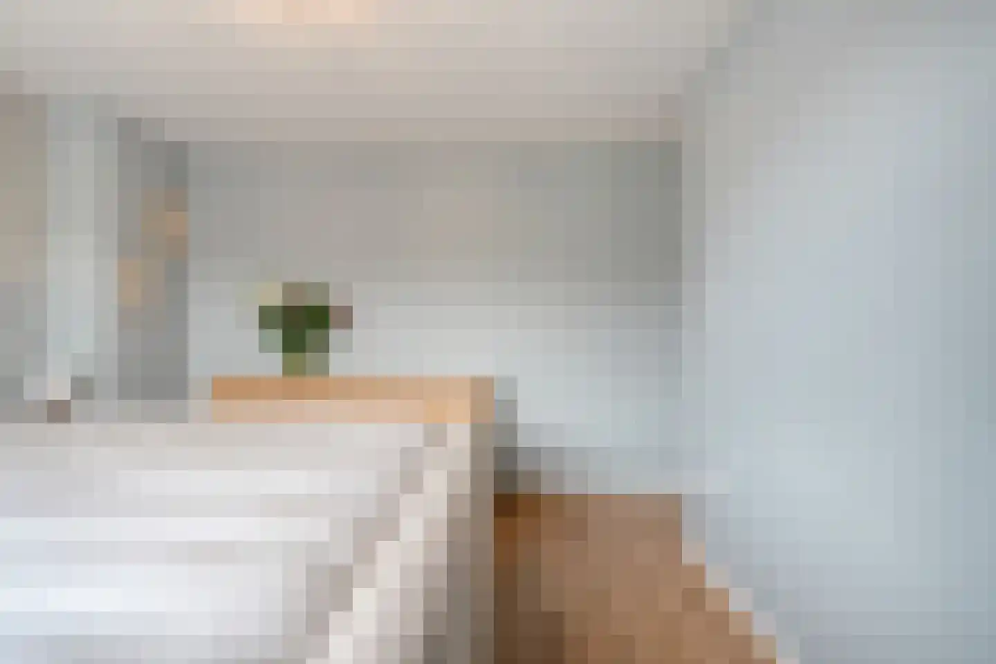 Eschstraat 25 Dalfsen thumbnail 17