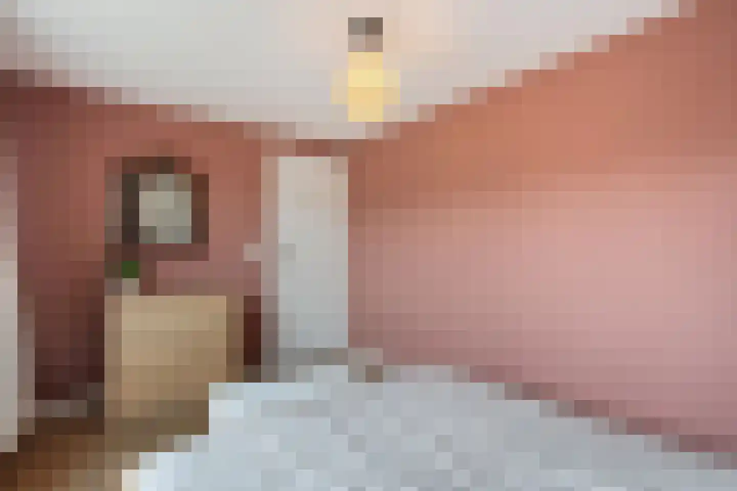 Eschstraat 25 Dalfsen thumbnail 19
