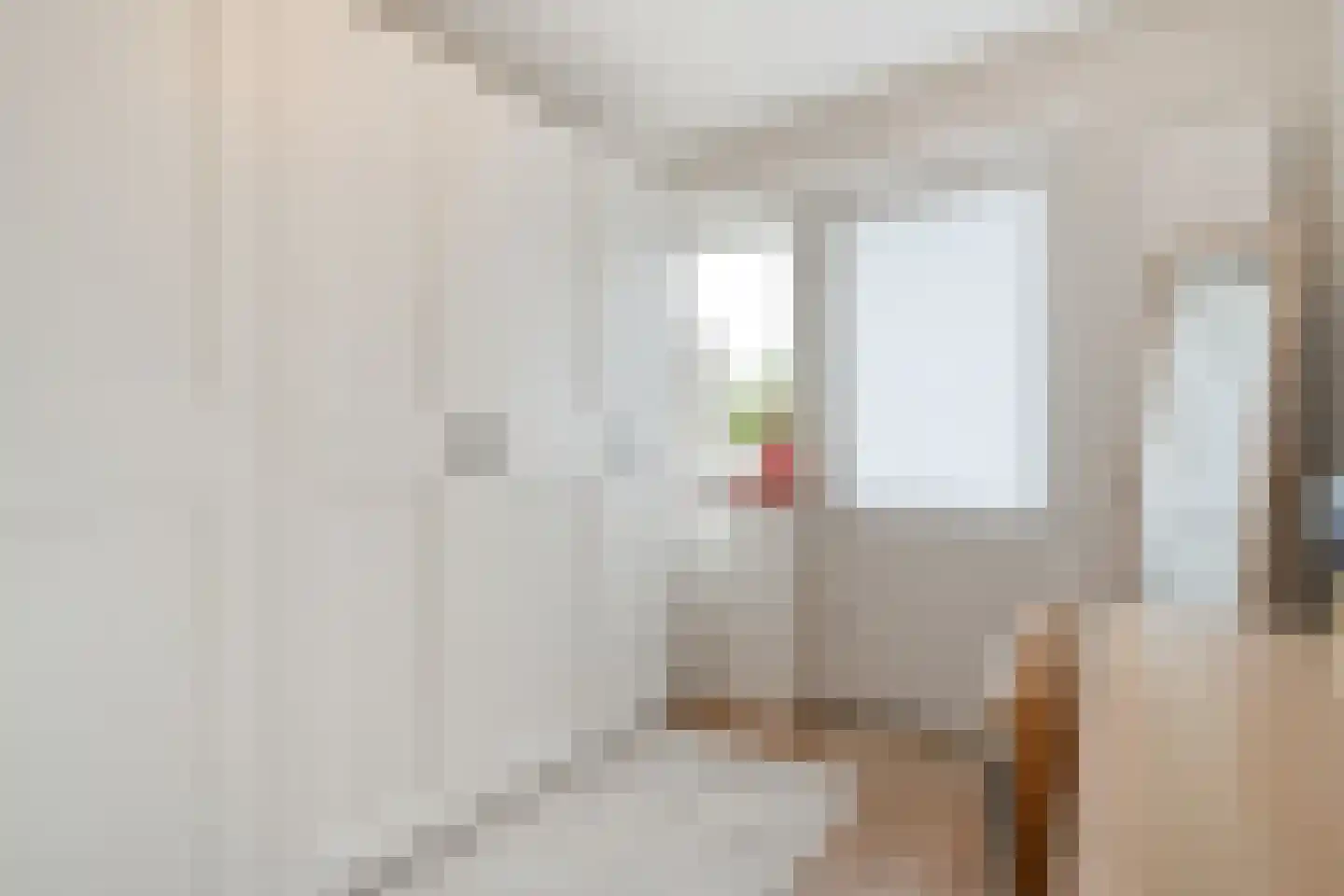 Eschstraat 25 Dalfsen thumbnail 22