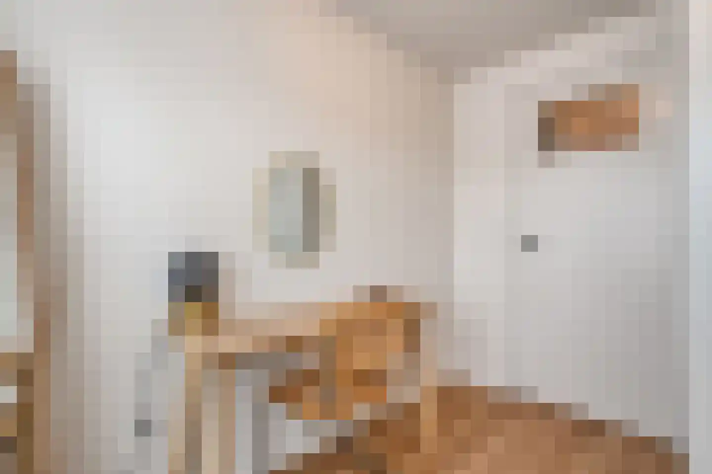 Eschstraat 25 Dalfsen thumbnail 23