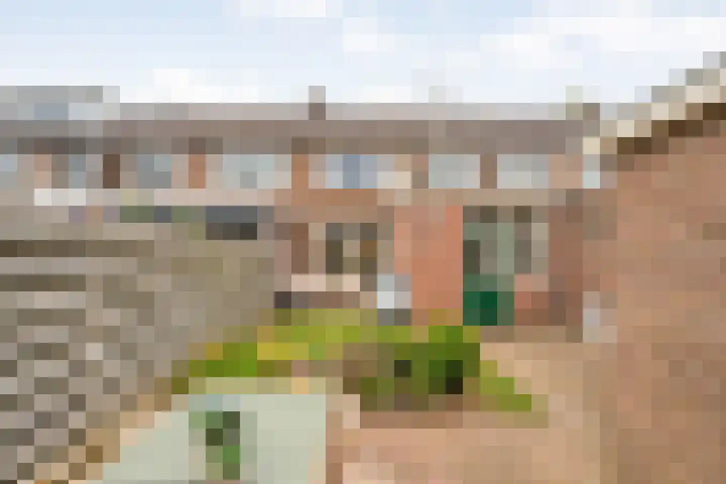 Eschstraat 25 Dalfsen thumbnail 24