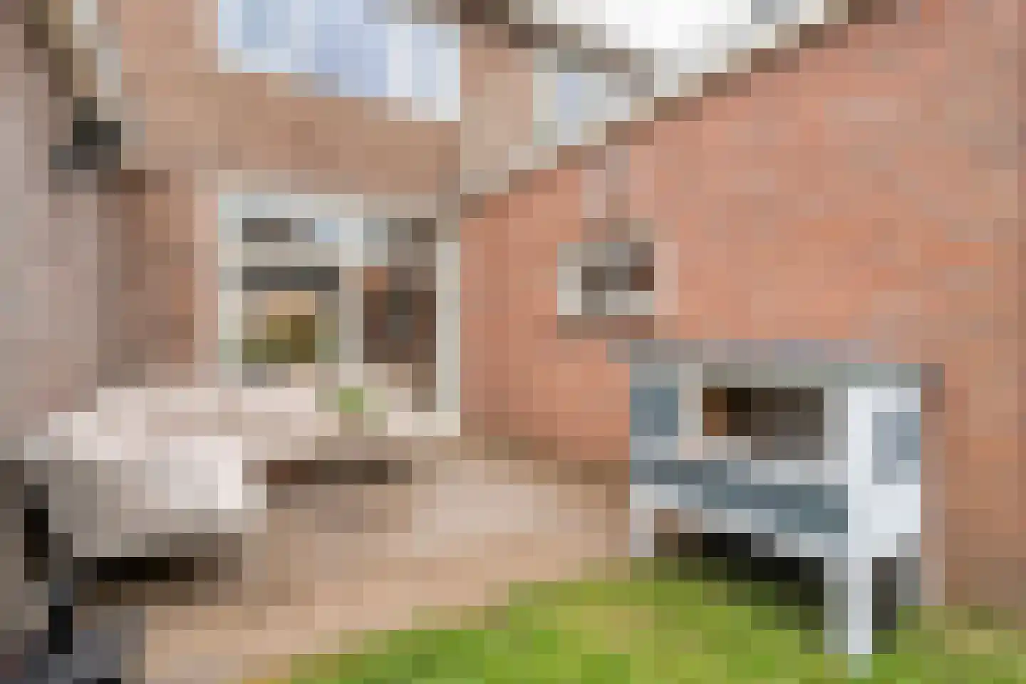 Eschstraat 25 Dalfsen thumbnail 25