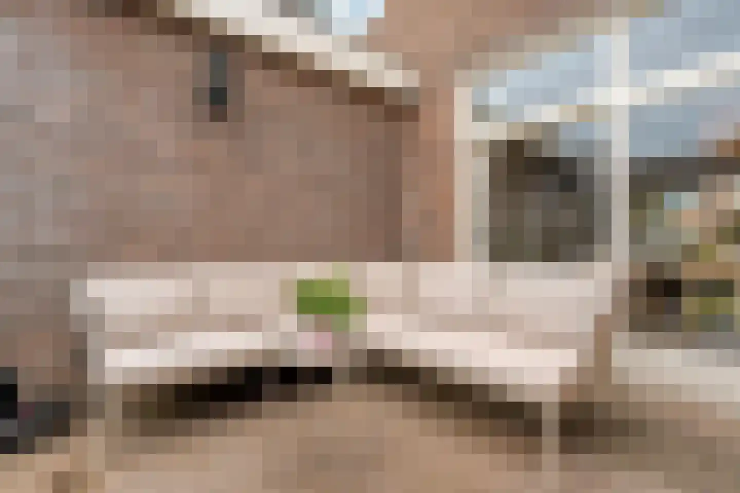 Eschstraat 25 Dalfsen thumbnail 26