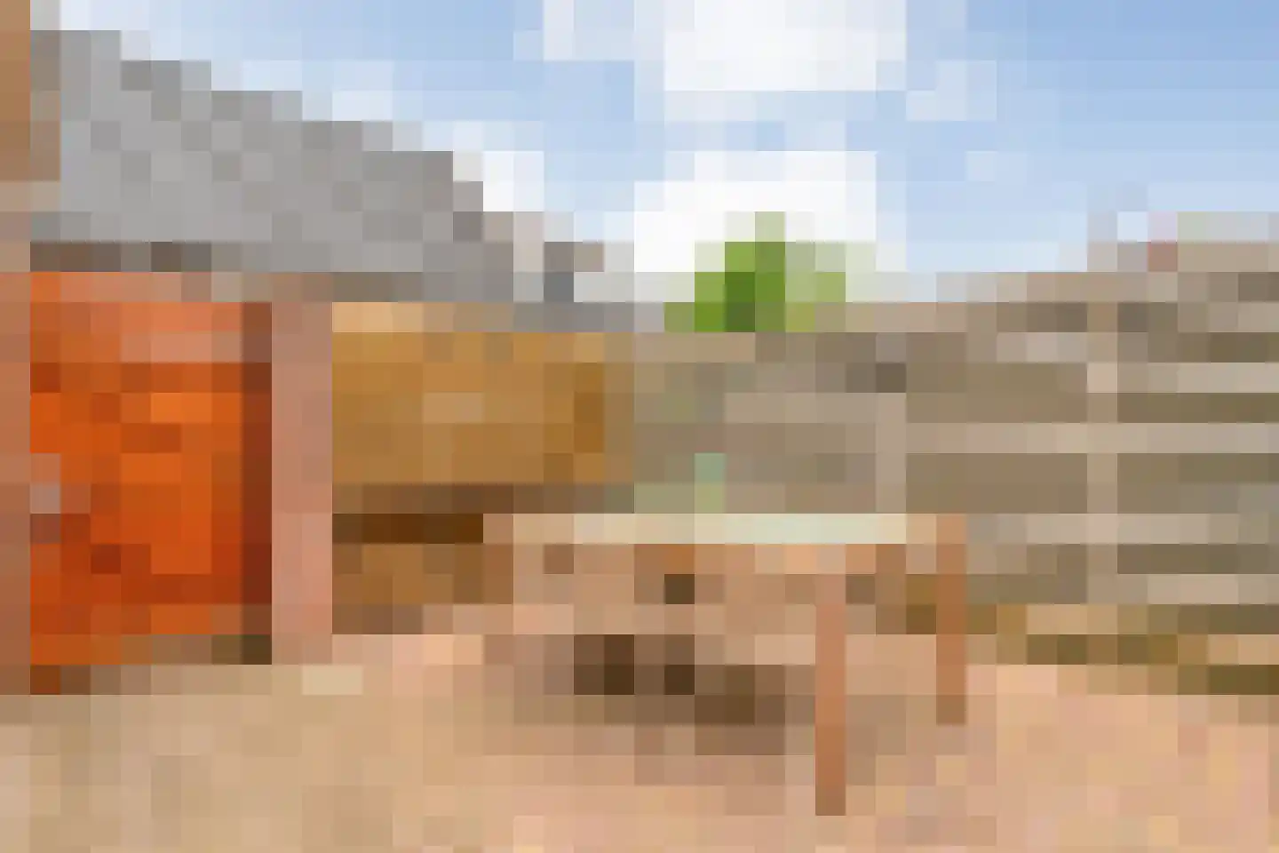 Eschstraat 25 Dalfsen thumbnail 28