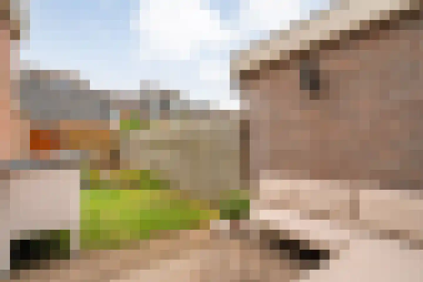 Eschstraat 25 Dalfsen thumbnail 29