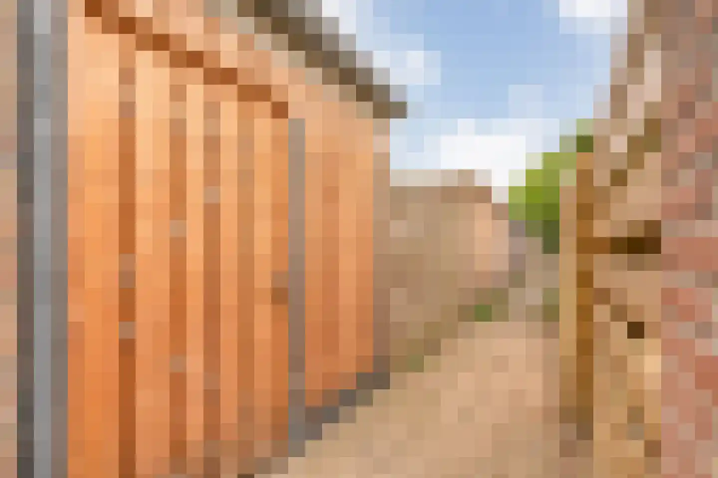 Eschstraat 25 Dalfsen thumbnail 32
