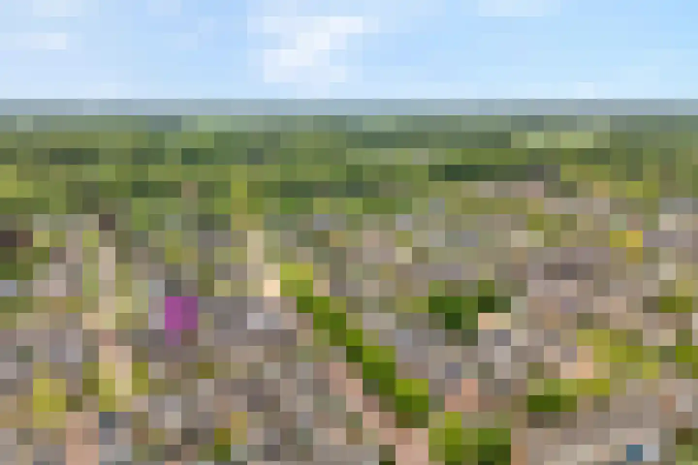 Eschstraat 25 Dalfsen thumbnail 35