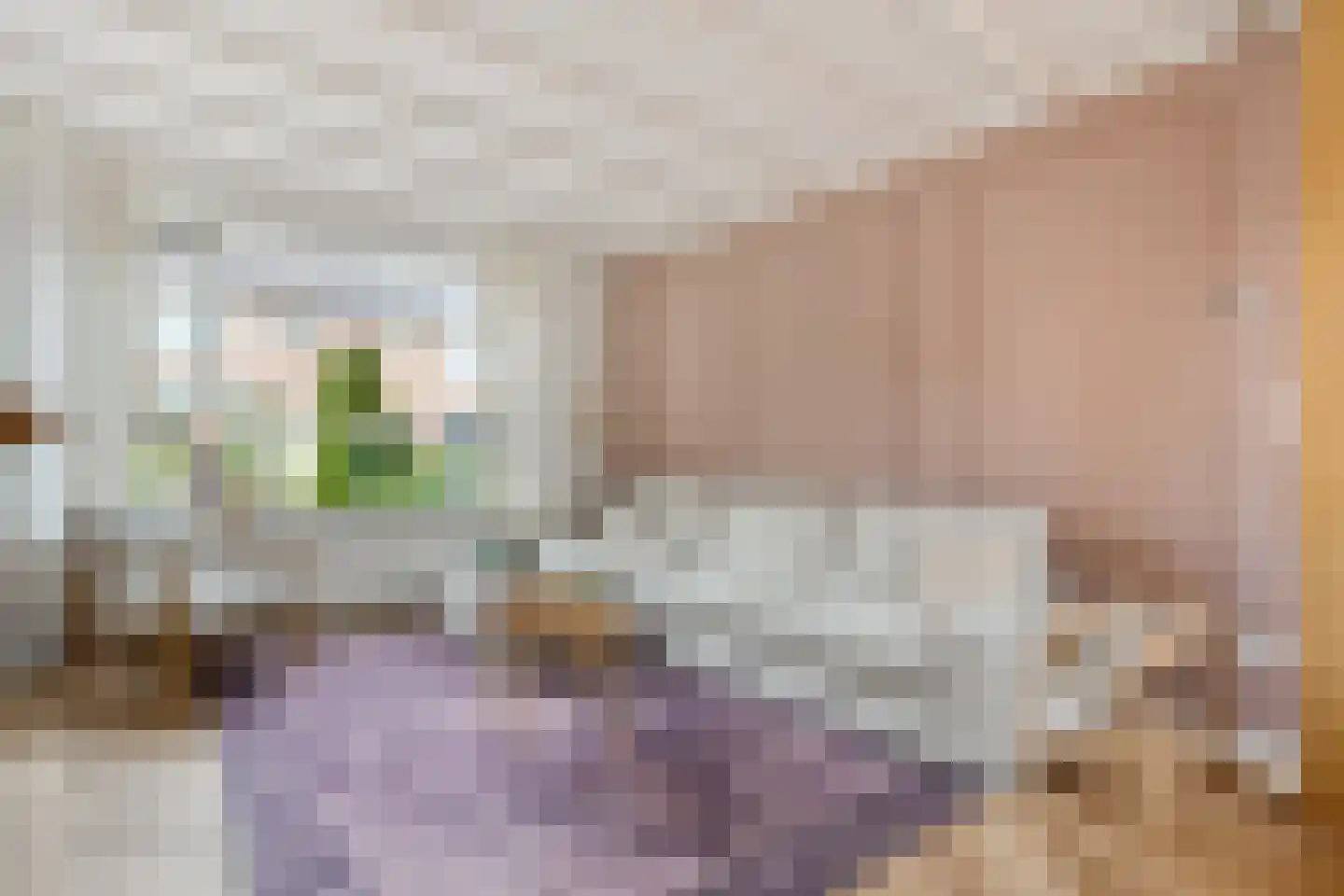 Eschstraat 25 Dalfsen thumbnail 4