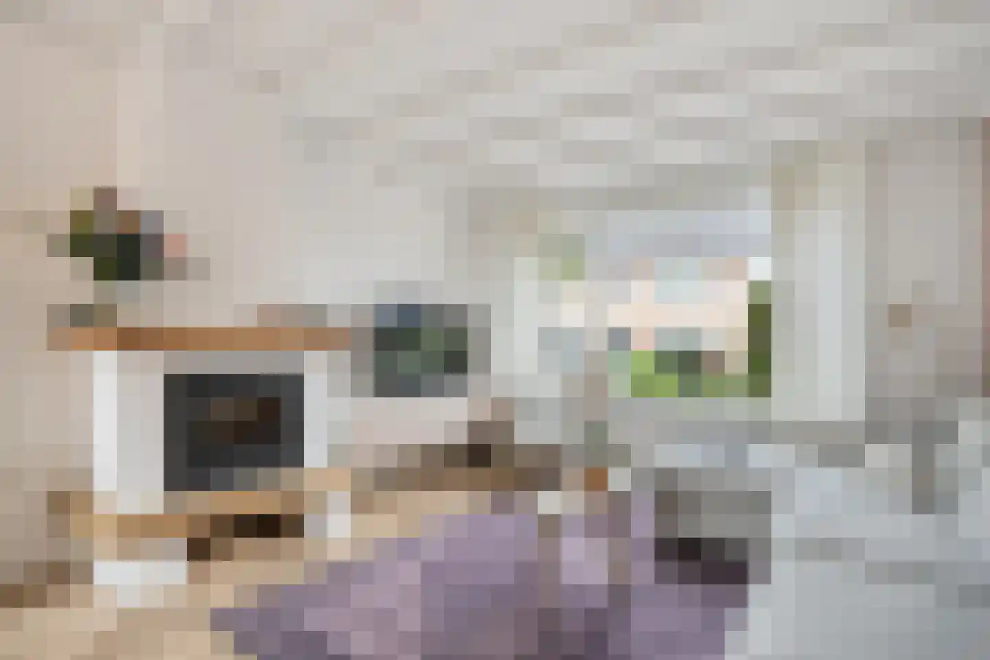 Eschstraat 25 Dalfsen thumbnail 5