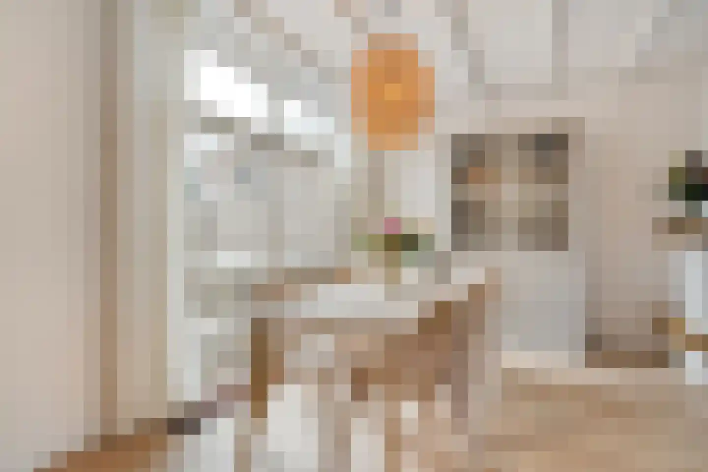 Eschstraat 25 Dalfsen thumbnail 6