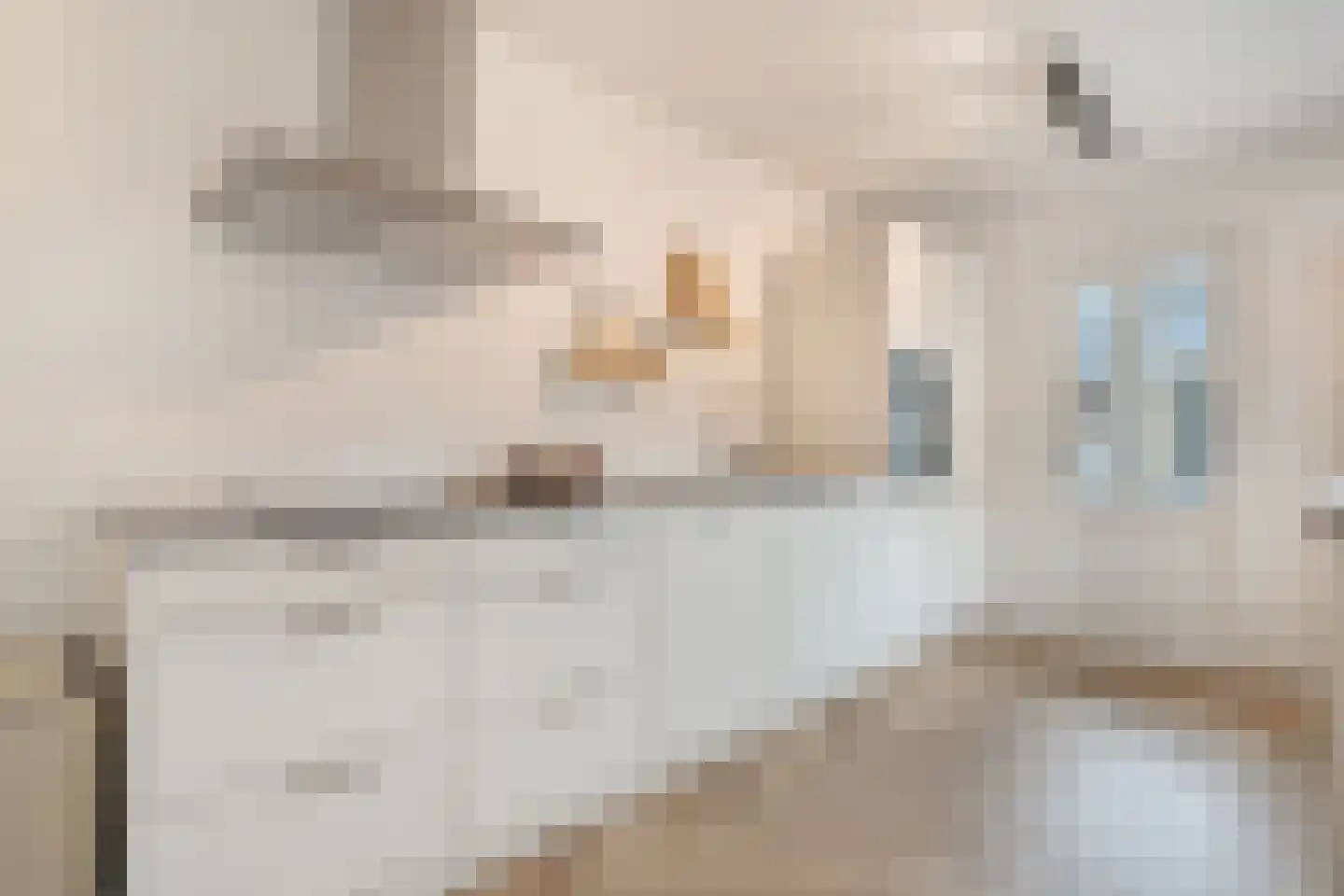 Eschstraat 25 Dalfsen thumbnail 7