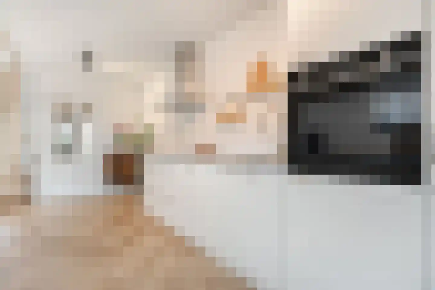 Eschstraat 25 Dalfsen thumbnail 8
