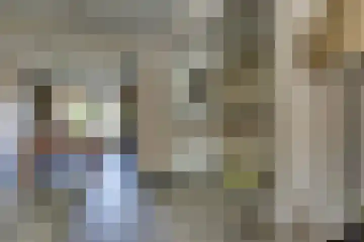 Eschstraat 27 Dalfsen thumbnail 10