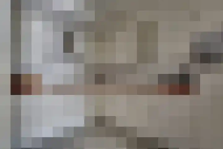 Eschstraat 27 Dalfsen thumbnail 11