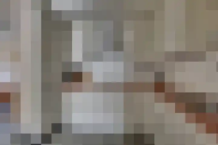 Eschstraat 27 Dalfsen thumbnail 12