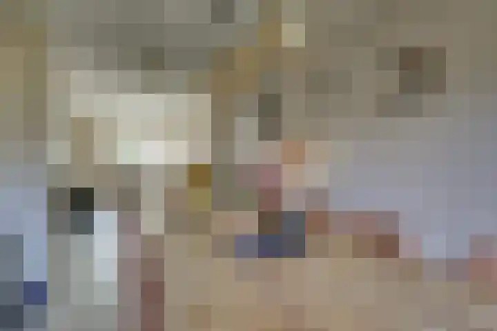 Eschstraat 27 Dalfsen thumbnail 14