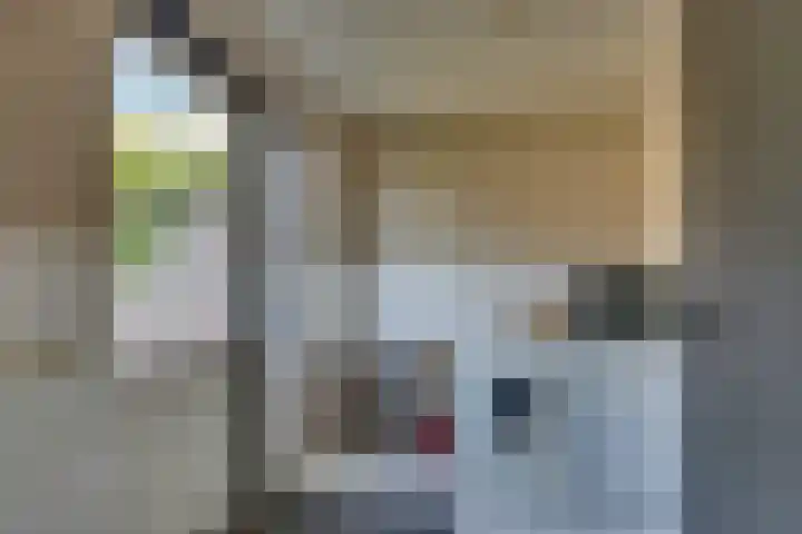 Eschstraat 27 Dalfsen thumbnail 15