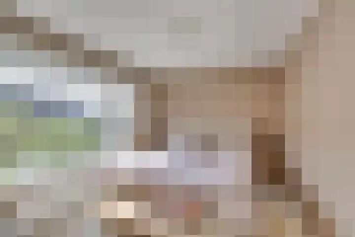Eschstraat 27 Dalfsen thumbnail 19