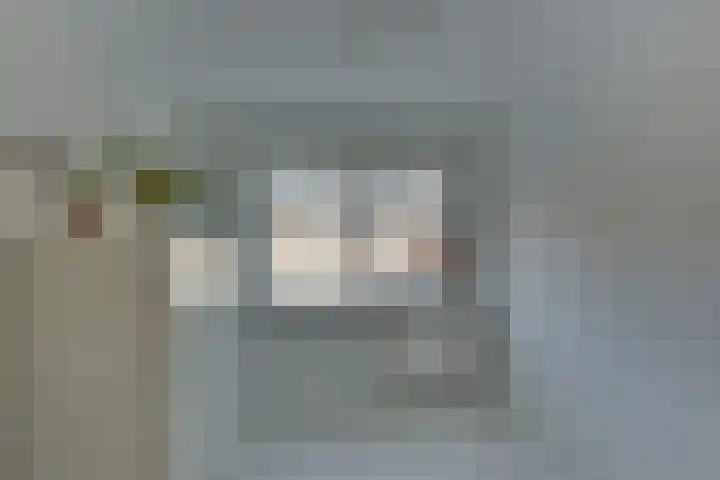 Eschstraat 27 Dalfsen thumbnail 23