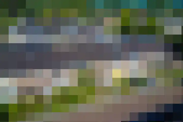 Eschstraat 27 Dalfsen thumbnail 32