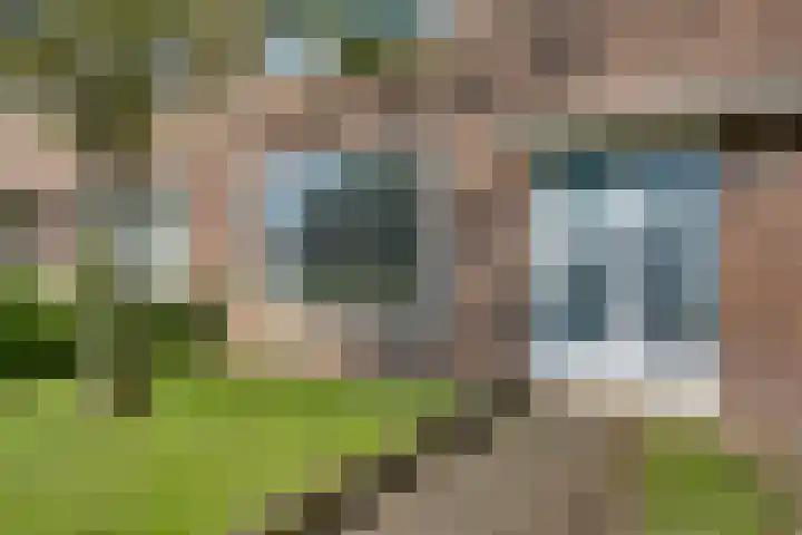 Eschstraat 27 Dalfsen thumbnail 4