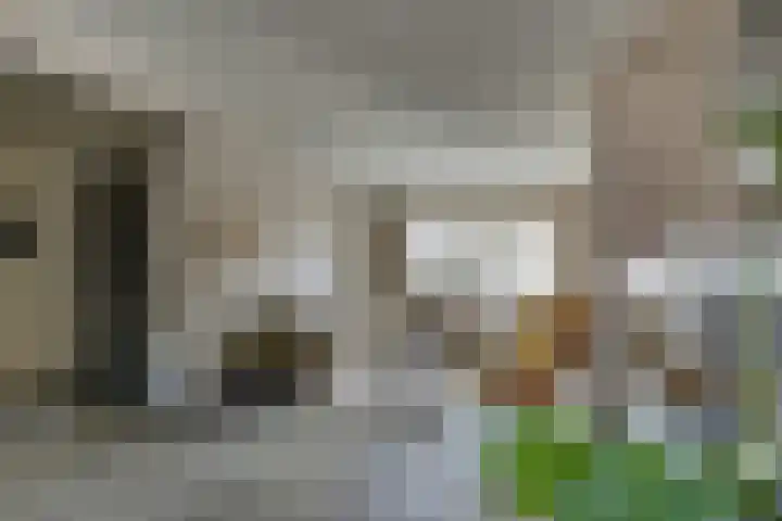Eschstraat 27 Dalfsen thumbnail 7