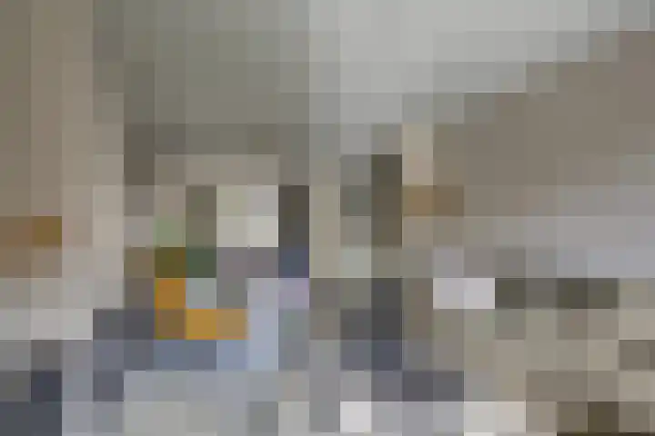 Eschstraat 27 Dalfsen thumbnail 9