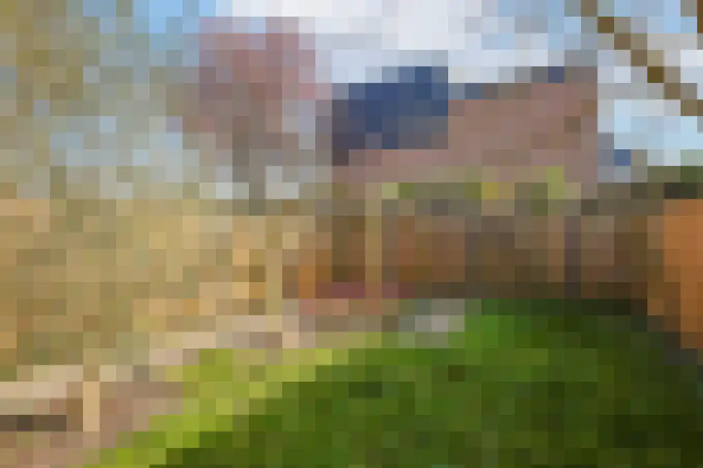 Eschweilerhof 5 Eindhoven thumbnail 23